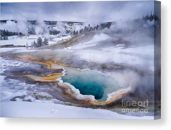 Heart Spring Canvas Print featuring the photograph Heart Spring by Priscilla Burgers