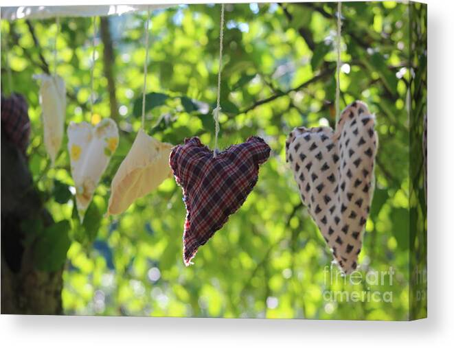 Heart Canvas Print featuring the photograph Love on a String by Andre Turner