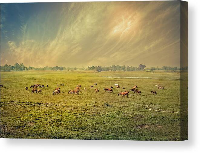 Number Canvas Print featuring the digital art Heat n Dust - Indian Countryside by Sarah Sever