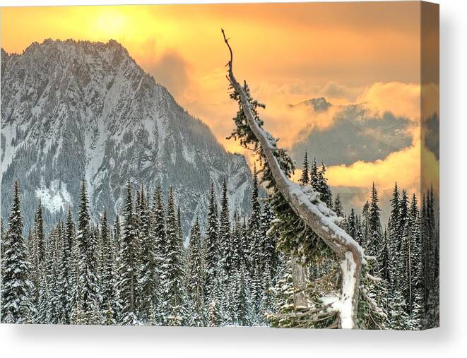 Mountain Viewsunset Snowevergreens Canvas Print featuring the photograph Heavenly by Jeff Cook