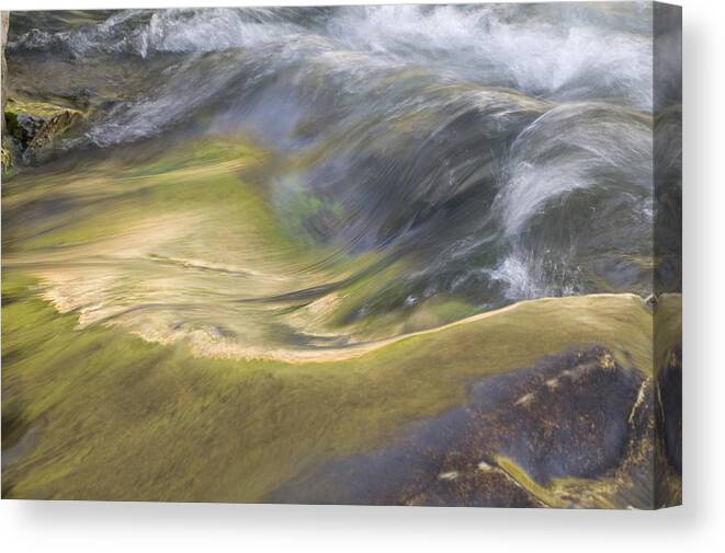 Glacier National Park Canvas Print featuring the photograph Heavy Metal Water Glacier National PArk by Rich Franco