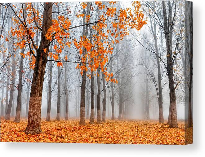 Bulgaria Canvas Print featuring the photograph Heralds Of Autumn by Evgeni Dinev
