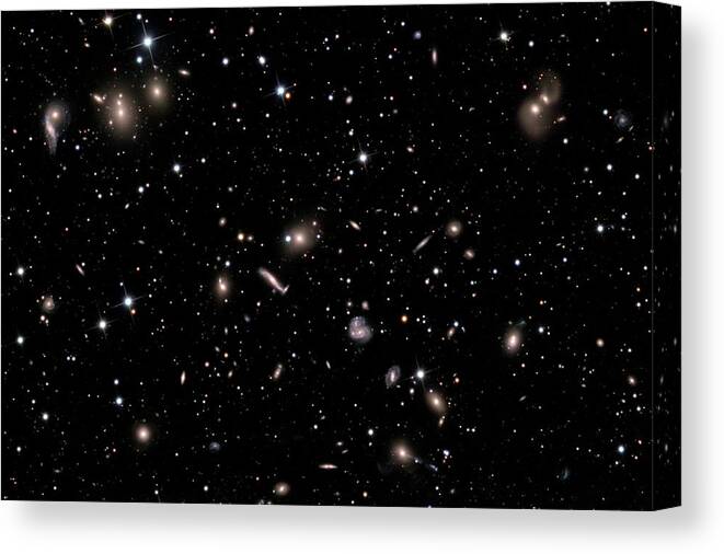 Abell 2151 Canvas Print featuring the photograph Hercules Galaxy Cluster (abell 2151) by Russell Croman/science Photo Library