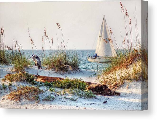 Alabama Canvas Print featuring the photograph Heron and Sailboat by Michael Thomas