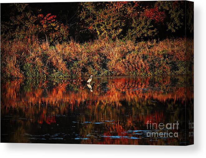 Great Blue Heron Canvas Print featuring the photograph Heron Hideaway by Elizabeth Winter