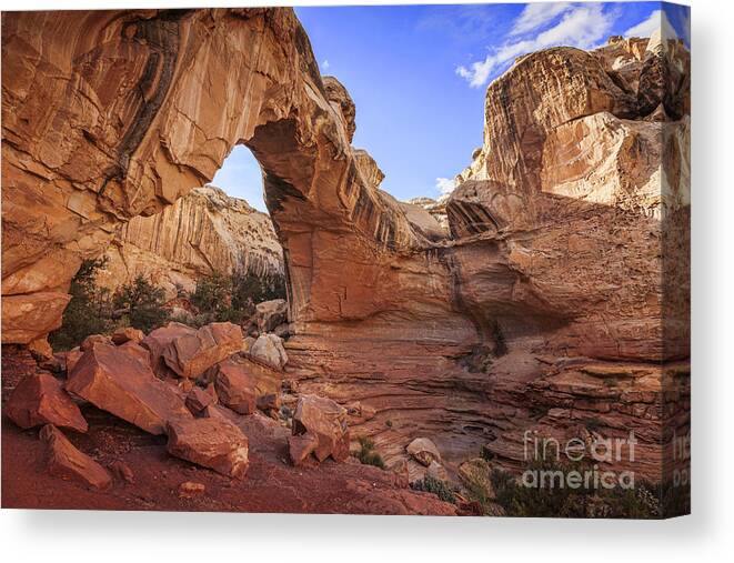Capitol Reef Canvas Print featuring the photograph Hickman Bridge Capitol Reef National Park by Colin and Linda McKie