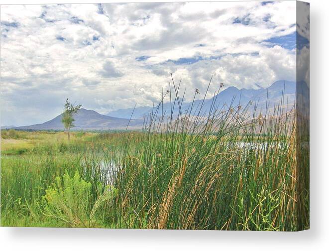Clouds Canvas Print featuring the photograph Hint Of Water by Marilyn Diaz
