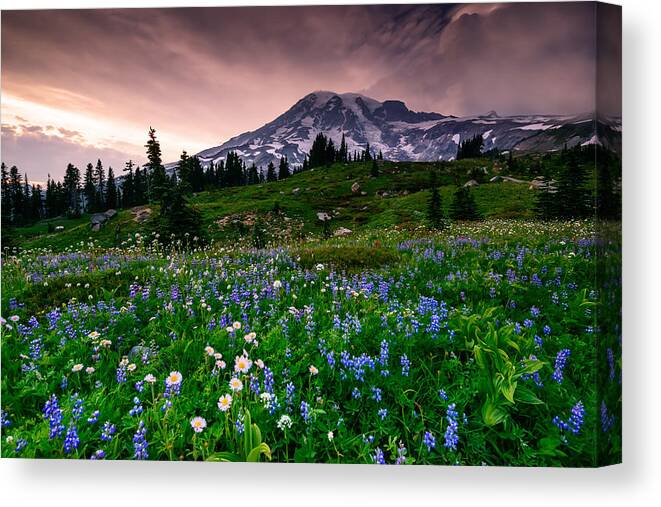 Mount Rainier Canvas Print featuring the photograph His Majesty by Dan Mihai