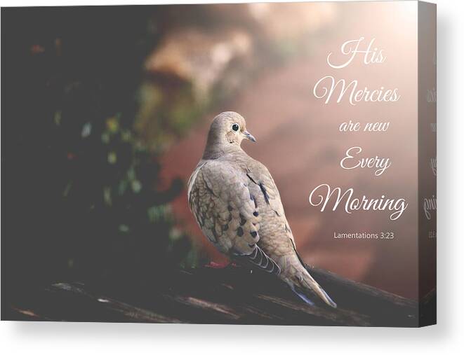 Birds Canvas Print featuring the photograph His Mercies Are New by Trina Ansel