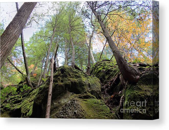 Forest Canvas Print featuring the photograph Hocking Hills Moss Covered Cliff by Karen Adams