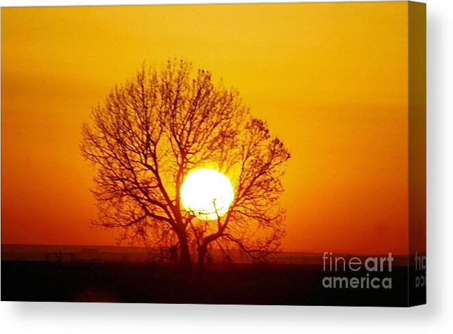 Landscape Canvas Print featuring the photograph Holding the Sun by Steven Reed