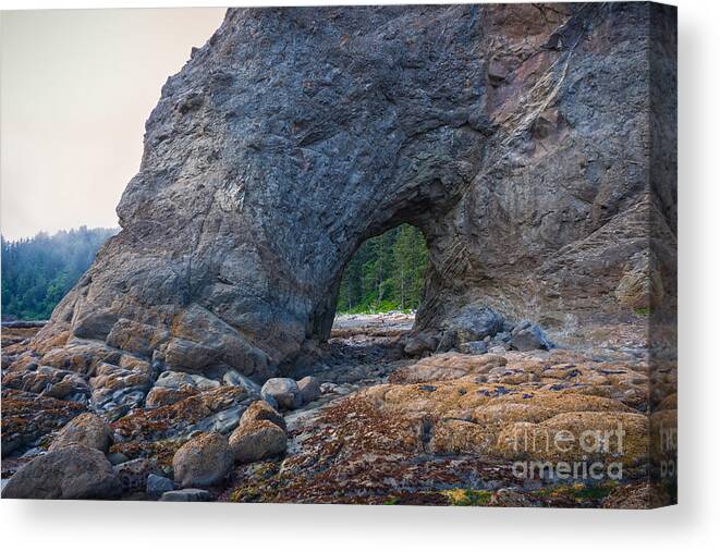 2013 Canvas Print featuring the photograph Hole-in-the-Wall by Carrie Cole