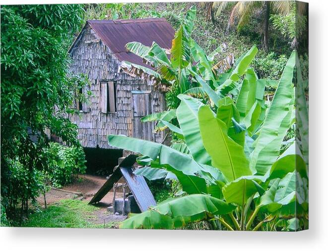 Carribean Canvas Print featuring the photograph Home by Robert Nickologianis