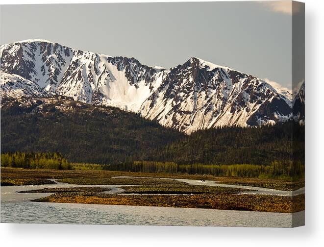 Alaska Canvas Print featuring the photograph Homer Alaska Shore by Natasha Bishop