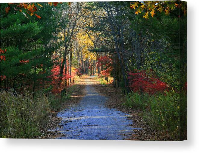 Red Leaves Canvas Print featuring the photograph Homeward Bound by Neal Eslinger