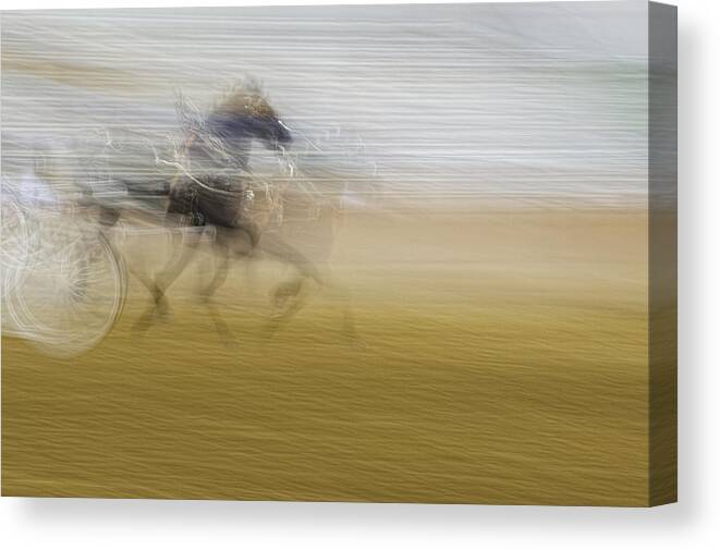 Topsfield Fair Canvas Print featuring the photograph Horse and Sulkie by Stoney Stone