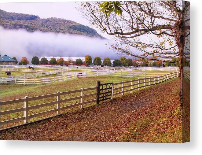 Horse Farm Autumn Canvas Print featuring the photograph Horse Farm Autumn by Tom Singleton