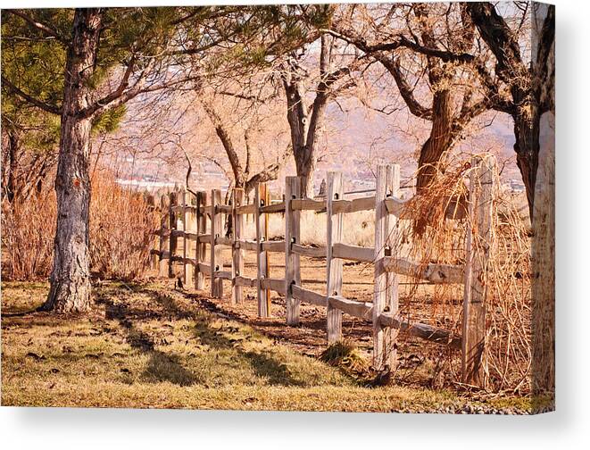 Fence Canvas Print featuring the photograph Horsemans Park Reno Nevada by Janis Knight
