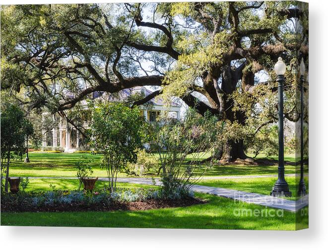 River Road Canvas Print featuring the photograph Houmas House Plantation in Louisiana by Kathleen K Parker