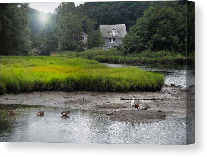 Landscape Canvas Print featuring the photograph Housekeeping by Diana Angstadt