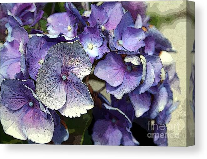 Flower Canvas Print featuring the photograph Hydrangea by Rosemary Aubut
