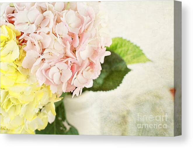 Flower Canvas Print featuring the photograph Hydrangeas in Pastel by Stephanie Frey