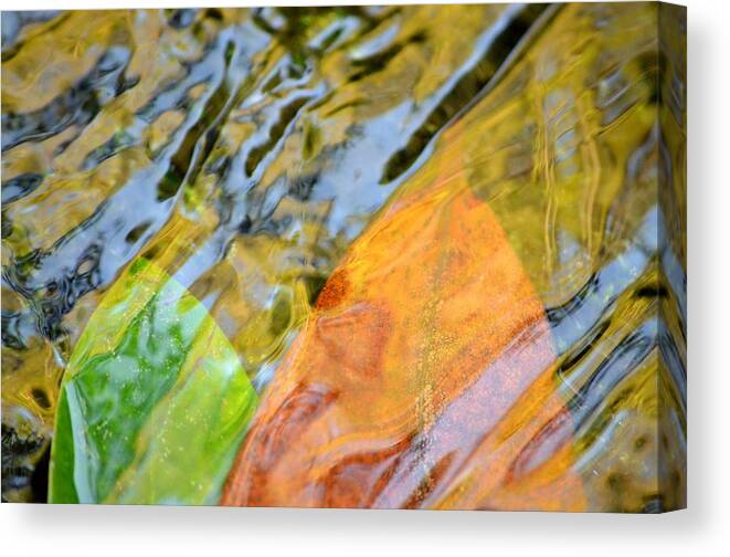 Leaves Canvas Print featuring the photograph Hydrodynamic Duo by Laureen Murtha Menzl