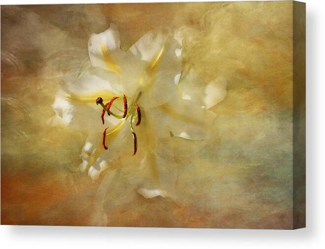 White Lily Canvas Print featuring the photograph I am so Happy for You by Marina Kojukhova