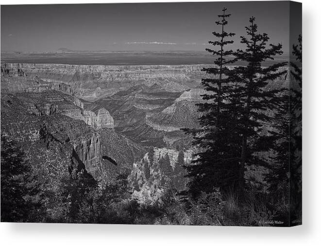 Grand Canyon Canvas Print featuring the photograph I Can See Forever by Lucinda Walter