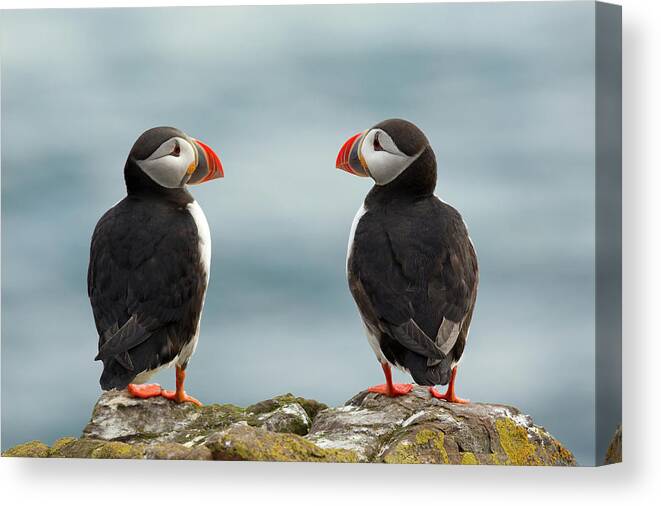 Iceland Canvas Print featuring the photograph I Love You - I Love You Too by Milan Zygmunt