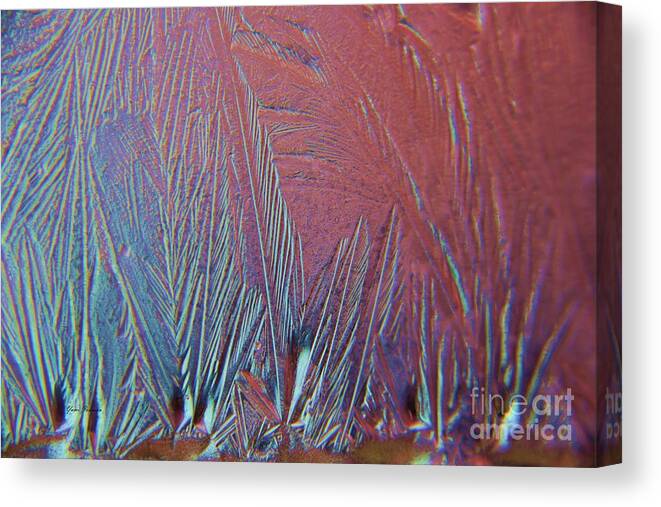 Iced Canvas Print featuring the photograph Ice Abstract by Yumi Johnson