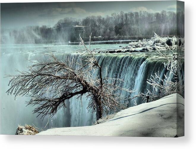 Niagara Falls Canvas Print featuring the photograph Ice covered tree by Douglas Pike
