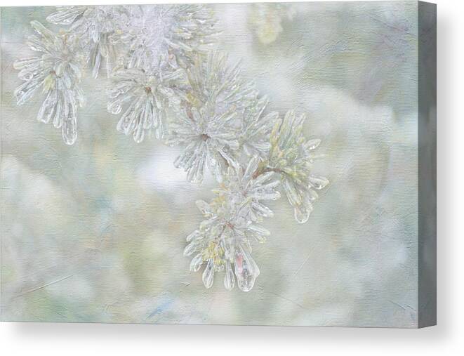 Ice On Fir Needles Canvas Print featuring the digital art Ice Needles by Michelle Ayn Potter
