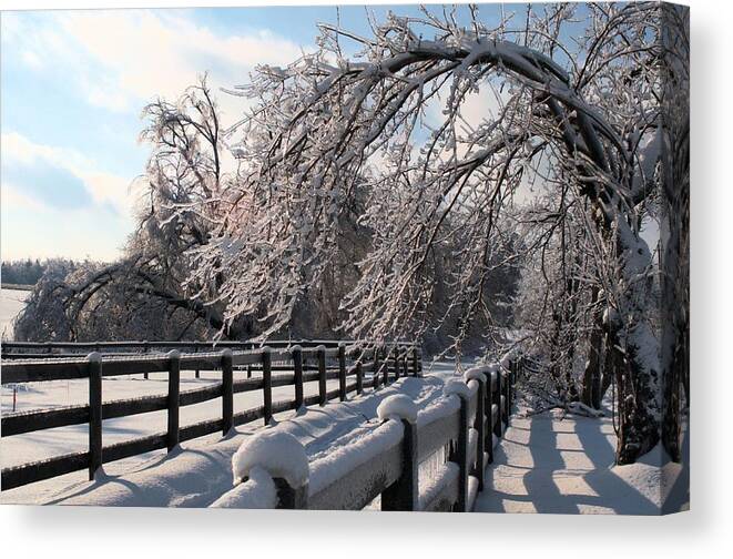 Ice Canvas Print featuring the photograph Ice storm by Douglas Pike