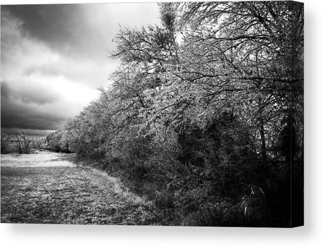 Ice Canvas Print featuring the photograph Ice Storm by Mark Alder