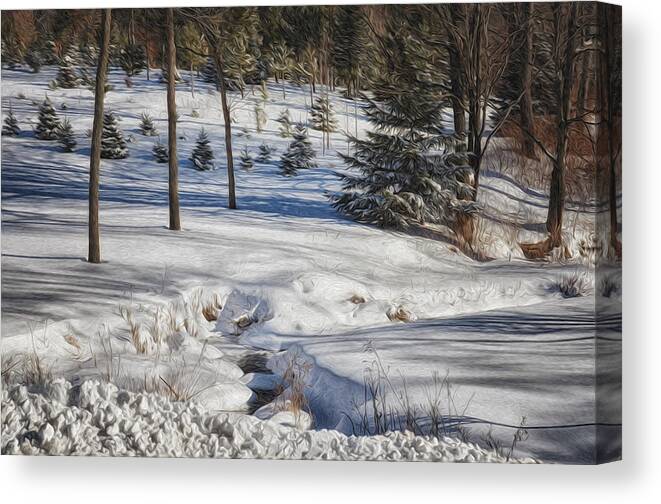 Pine Canvas Print featuring the photograph Icy Stream by Tricia Marchlik