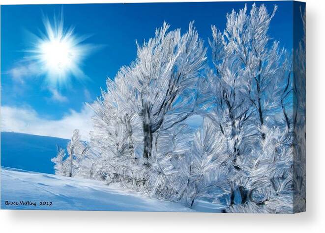 Ice Canvas Print featuring the painting Icy Trees by Bruce Nutting