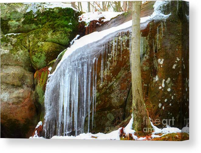 Landscape Canvas Print featuring the photograph Icy Waterfall by Peggy Franz
