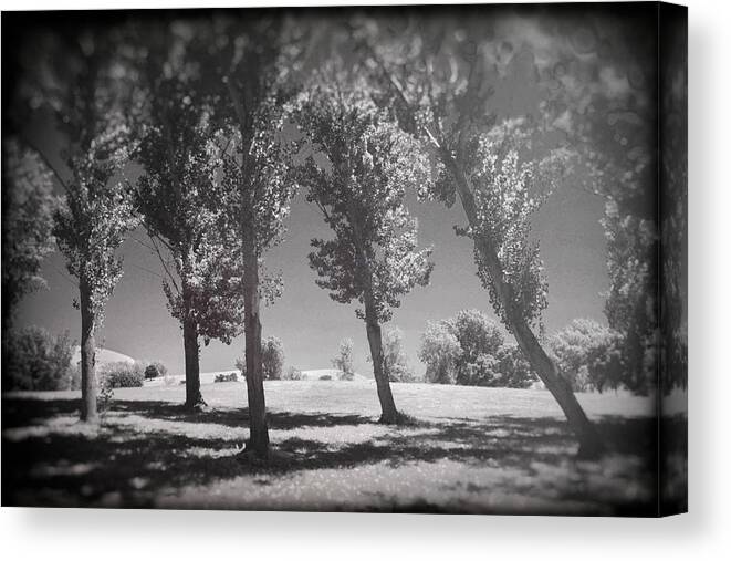 Contra Loma Regional Park Canvas Print featuring the photograph If You're Flawless by Laurie Search