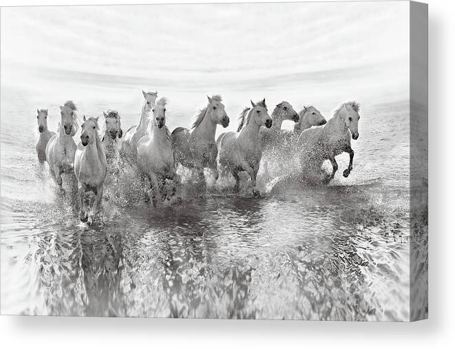 Action Canvas Print featuring the photograph Illusion Of Power (13 Horse Power Though) by Roman Golubenko