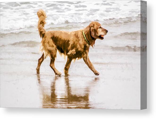 Big Dog Canvas Print featuring the digital art I'm Back by Photographic Art by Russel Ray Photos