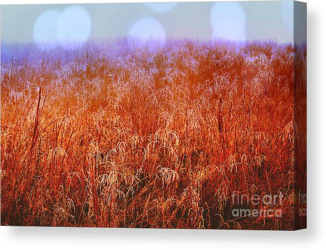 Field Canvas Print featuring the photograph Imagine by Carlee Ojeda