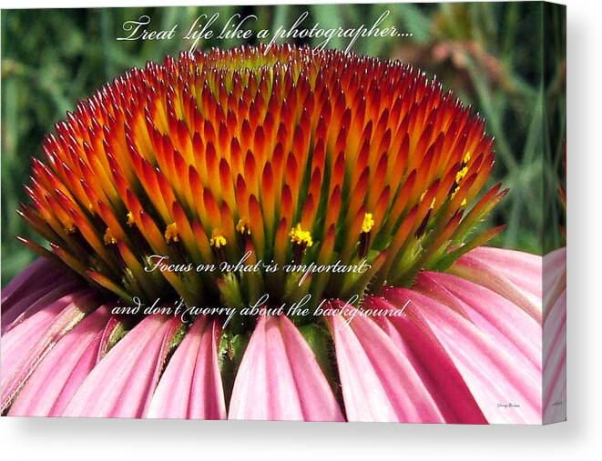 Inspirational Canvas Print featuring the photograph Important Things 001 by George Bostian