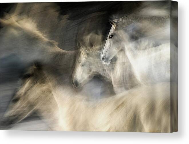 Action Canvas Print featuring the photograph In Motion by Milan Malovrh
