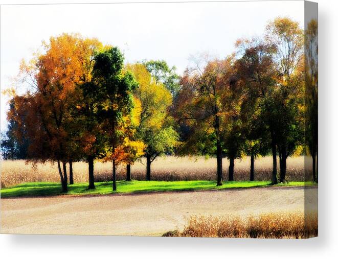 Fall Canvas Print featuring the photograph In the Field by Andrea Dale