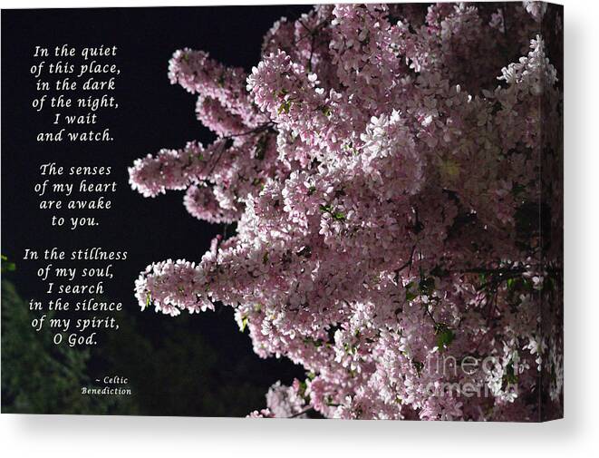 Celtic Benediction Canvas Print featuring the photograph In The Quiet by Alys Caviness-Gober