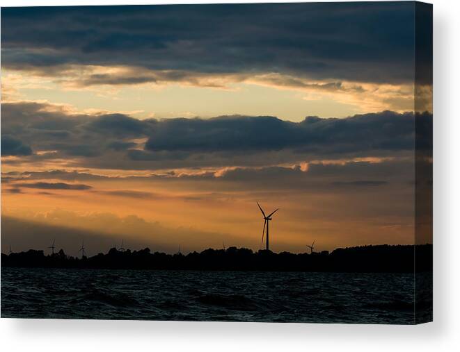 Wolf Island Canvas Print featuring the photograph In the spotlight by Mark Papke
