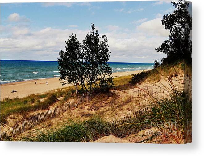 Indiana Dunes Canvas Print featuring the photograph Indiana Dunes Two Tree Beachscape by Amy Lucid