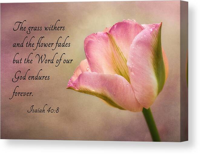 Tulip Canvas Print featuring the photograph Inspirational Tulip by Mary Jo Allen