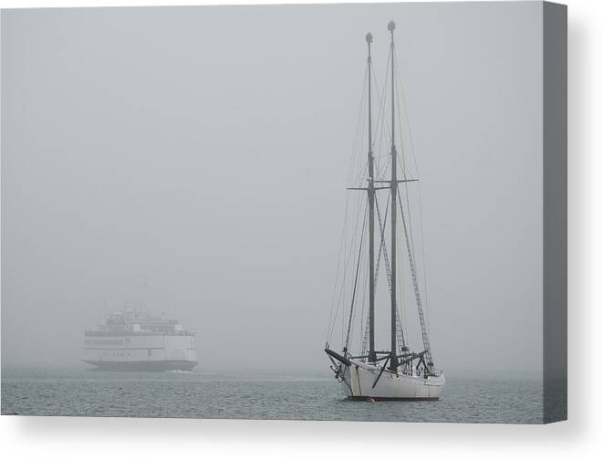 Fog Canvas Print featuring the photograph Into the Fog by Steve Myrick